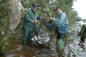 Angling Reports - 01 October 2008