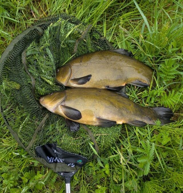 Angling Report for 29th May 2026.