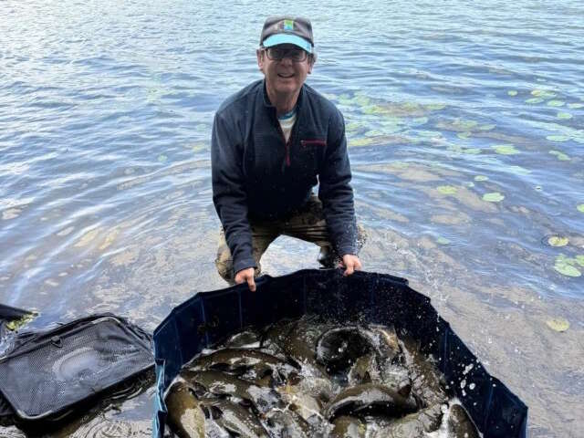 Angling Report for 30th July 2026.